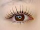 マーズラッシュ 南流山店(MaaZ lash)の写真/パリエク/バインドロック/アップワードラッシュ…高品質×種類豊富なエクステを低価格で◎
