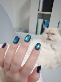 ■ワンカラー■マグネット■