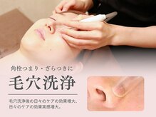 花鳥風月トータルビューティーの雰囲気（男性女性共に人気の毛穴ケア!月1の毛穴洗浄もオススメです[美肌]）