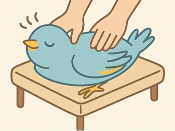 小鳥遊 タカナシ/