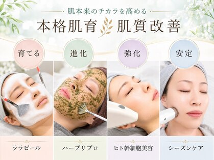 ジヒカ(ZIHICA)の写真