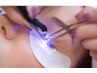 【最新/最先端LED導入キャンペーン】★フラット100本★