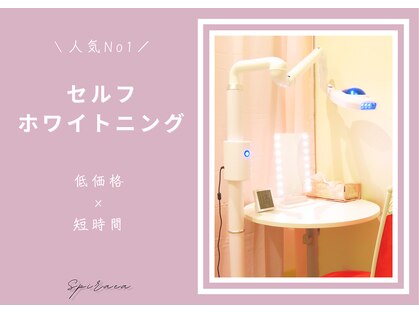 スパイリーア(Spiraea)の写真