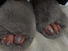 【再来】フット★お持ち込みデザイン ※予約日の2日前までに画像送付必須