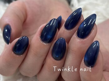 トゥインクルネイル(Twinkle Nail)/上品なちゅるんマグネットネイル