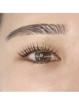 ホワイトカメリア 上本町店(White Camellia)/マツパサロン/まつげパーマ