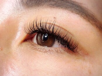 ウルカ アイラッシュ(uruka EYELASH)/フラットラッシュ 200本