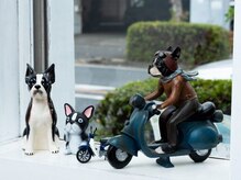 ワンダフル/店内ゴンのお友達！