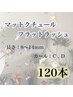 新規オフ無料☆マットクチュールフラットラッシュ120本　￥8500→￥7000♪♪