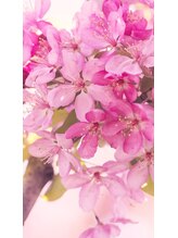 エリクサーネイル 新宿3丁目(Elixir Nail) 黒野 愛称