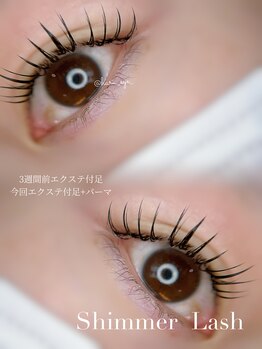 カメリア バイ リラ(Camelia by Lilas)/シマーラッシュ160本