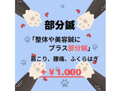 パウズ(Paws)の写真