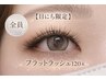 ≪3/19限定≫フラットラッシュ120本￥5500　再来の方＋￥200　◎2
