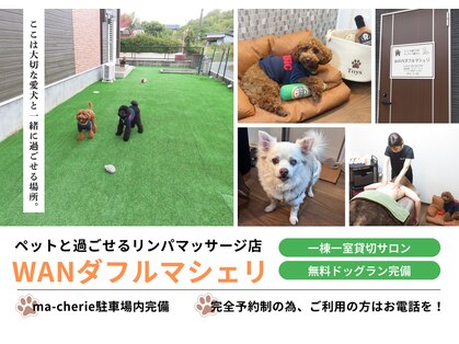 マシェリ(ma-che'rie)の写真