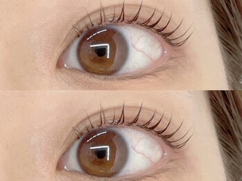 デイジー バイ アルテフィーチェ 梅田(daisy by artefice)/まつげパーマ