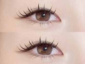 ラニ(Lani)/フラットダブル80束！