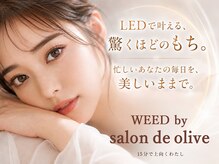 ウィード 橿原店(WEED by サロンドオリーブ)