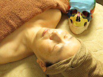 星空のハレイロ/骨格見本まもる君と一緒に！