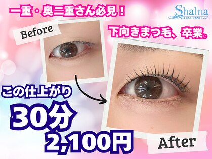 シャルナ 吉祥寺店の写真