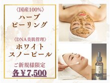 アドミーロ