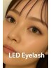 LEDマツエク100本【¥6600】
