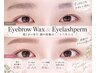 【眉毛WAX&まつ毛パーマ】最短で印象UPを叶える上品な目元☆13000円→9800円