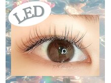 マーレ(Mare)/LED