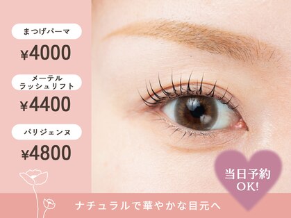 ニコ(nico)の写真