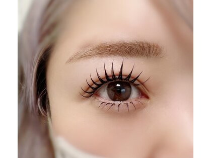 ソエ(SOE)の写真