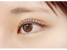 ペルシャ(Persian)/お客様デザイン(担当/長島)