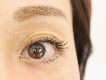 グルス(GRUS)/フラットラッシュ