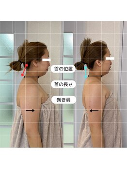 シファ(SHIFA)/身体の不調は土台から