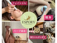 エスポリー(ESPORY)