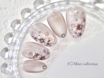 エスミント(S Mint)の写真