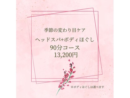 サクラ(Sakura)の写真