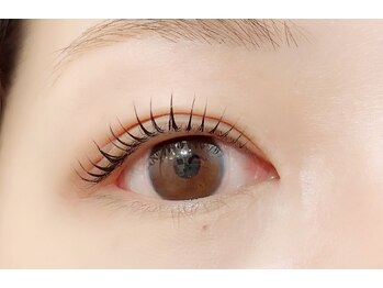 ペルシャ(Persian)/お客様デザイン(担当/長島)