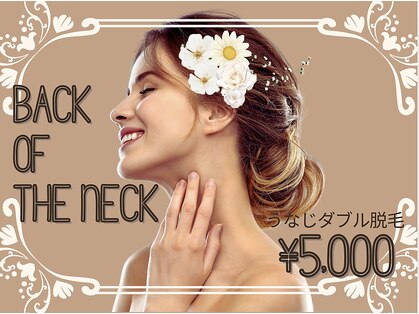 ミヌエット 新宿御苑(Minuet)の写真