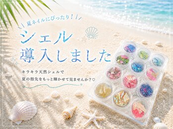 アクアマリン(AQUA MARINE)/天然シェル豊富!!