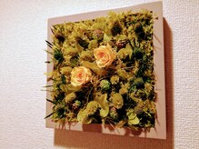 イマニティプラス(IMMUNITY+)/ブリザーブドフラワー