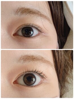 バードアイ(bird eye)/ラッシュリフト(まつ毛パーマ)