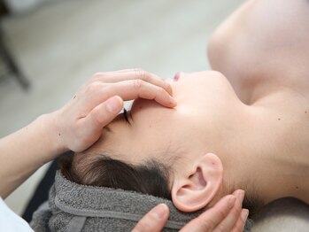 ビコツプロ(Bikotsu Pro)/