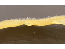 ノイ(Noi)/白玉wax