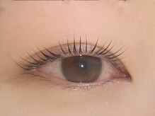 ルピドルジュ(le.pidorge)/RushLift