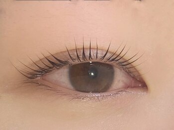 ルピドルジュ(le.pidorge)/RushLift