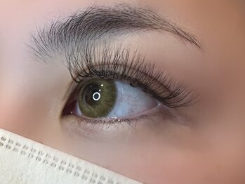 フリー#240(Free#240)/ボリュームラッシュ300本