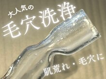 サントゥールの雰囲気（大人気の毛穴洗浄♪お肌を柔らかくしてゴッソリ毛穴汚れ）