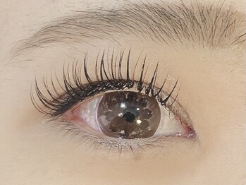 ネオリーブ モカ 川崎チネチッタ店(Neolive mocca & eyelash)/フラット200本　9050円　