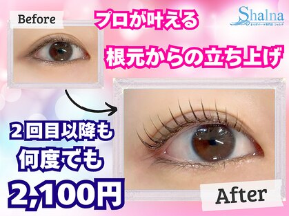 シャルナ 吉祥寺店の写真