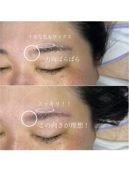 エリス(ELISSE)/ハリウッドブロウリフト