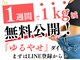 タイナ 岡山(taina)の写真